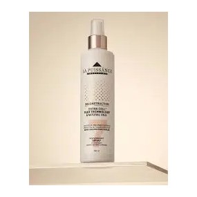 [49429] SPRAY REVIVERBOOST FORMULA 7 (250 ML.) LA PUISSANCE